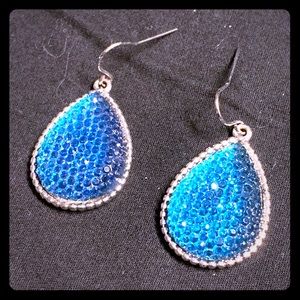 Blue & Silver Glitzy Fishhook Earrings